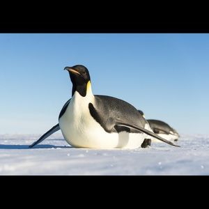 Meet your Posher, Jon